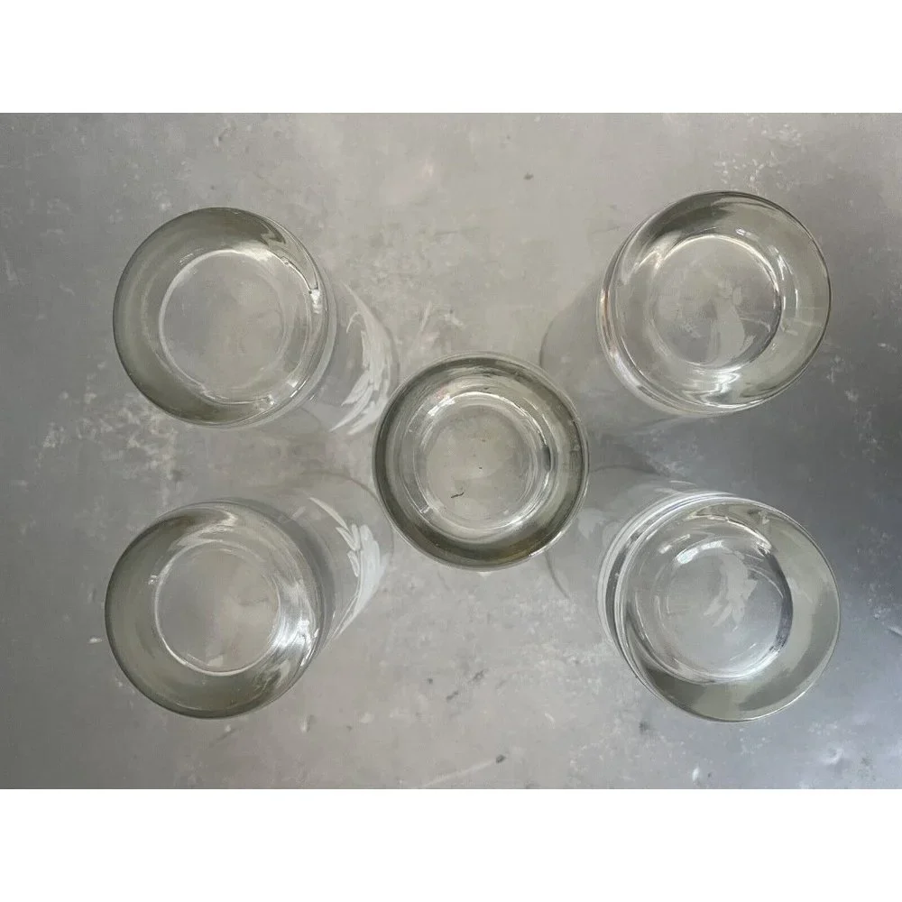 Vintage Wild Rose Floral Juice Glasses Gold Rim Tumblers Set of 5